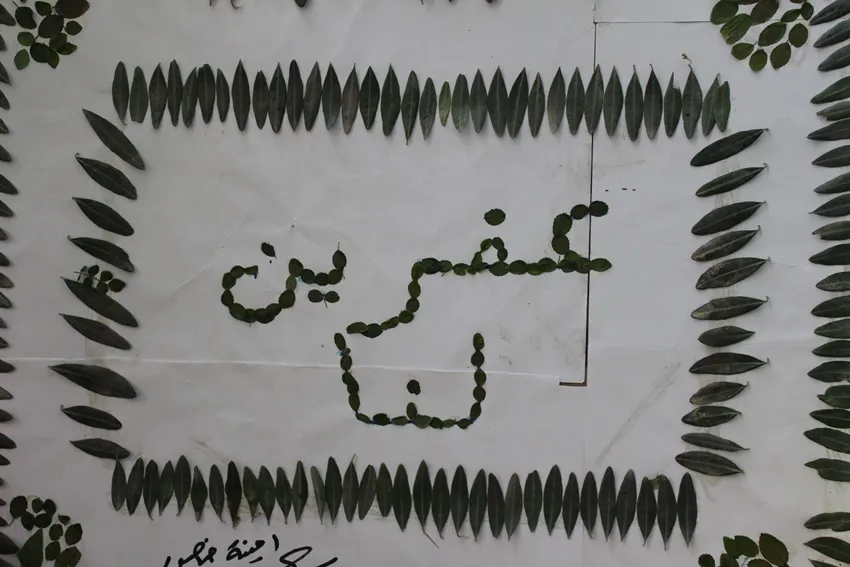 أطفال الطبقة يتضامنون مع نظرائهم في عفرين بلغة الرسم