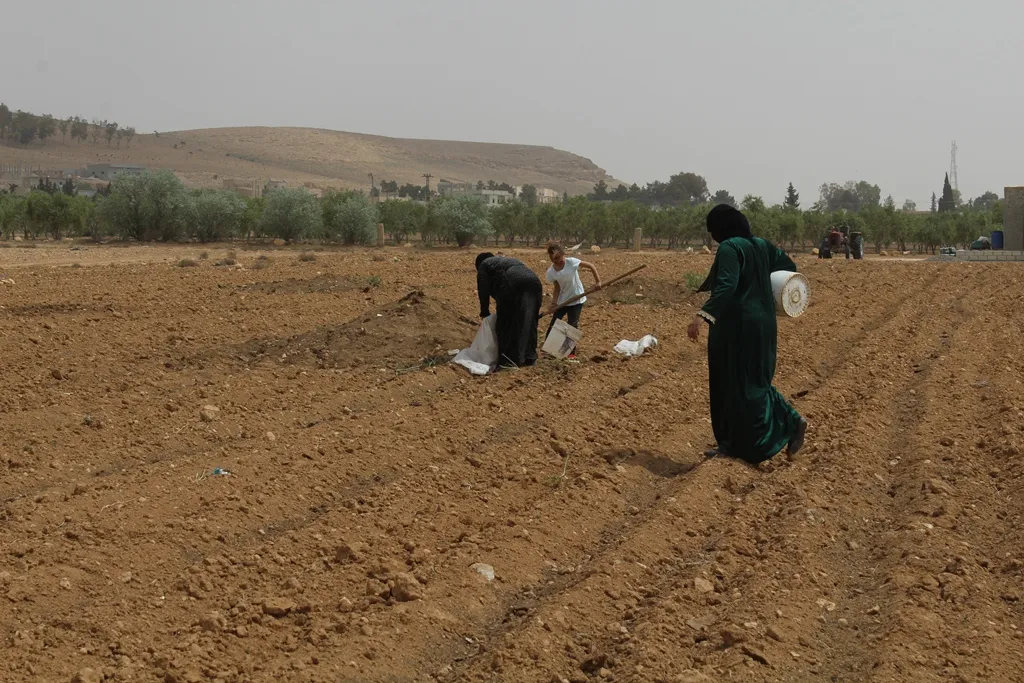 المرأة الطبقاوية تشارك بفاعلية بالتحضير للموسم الزراعي الذي تحاول تركيا تنغيصه