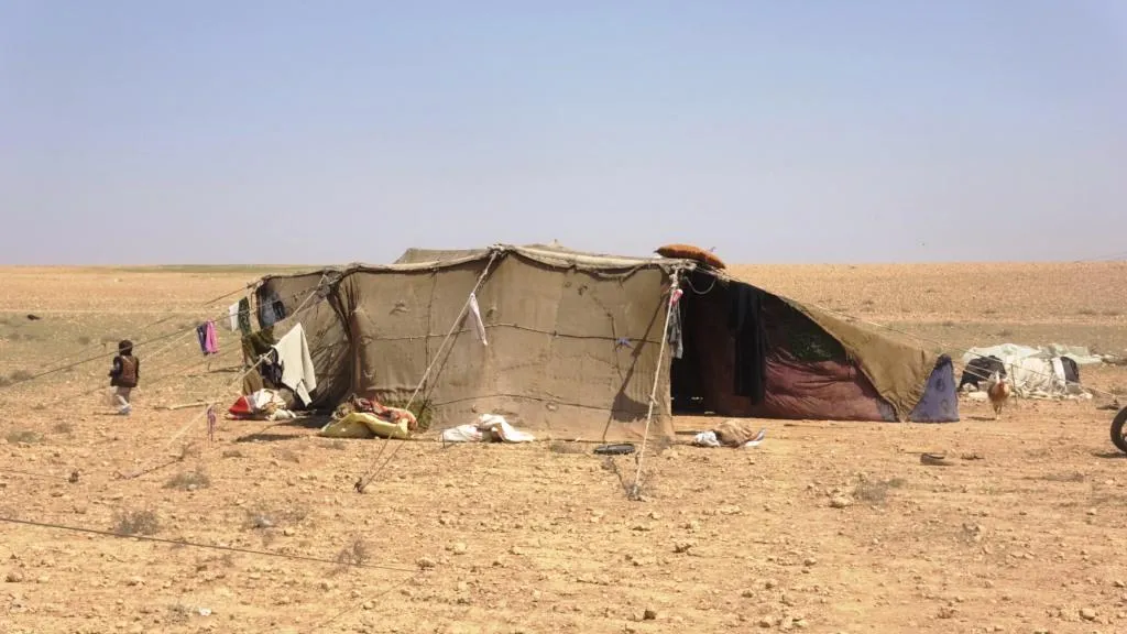 بتحرير مدينة الرقة.. البدو يحيون ثقافتهم من جديد
