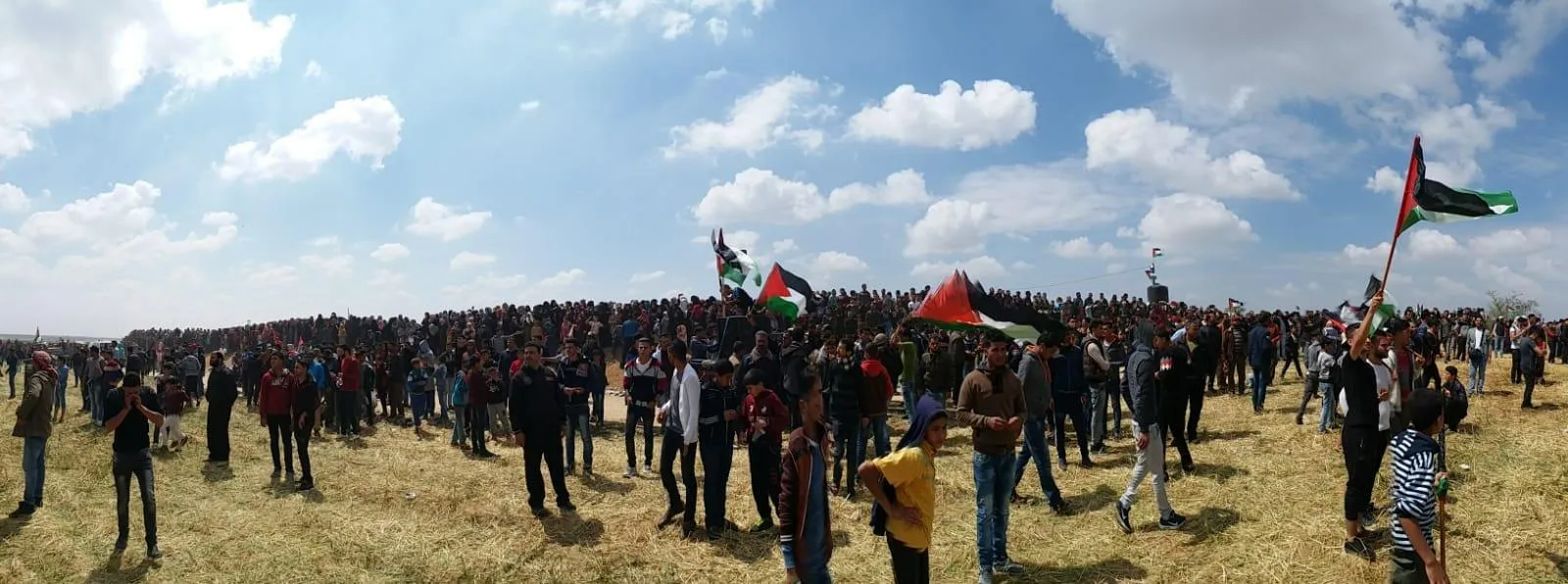 فنان البحر الفلسطيني .. الذي قتل في مسيرة سلمية !؟