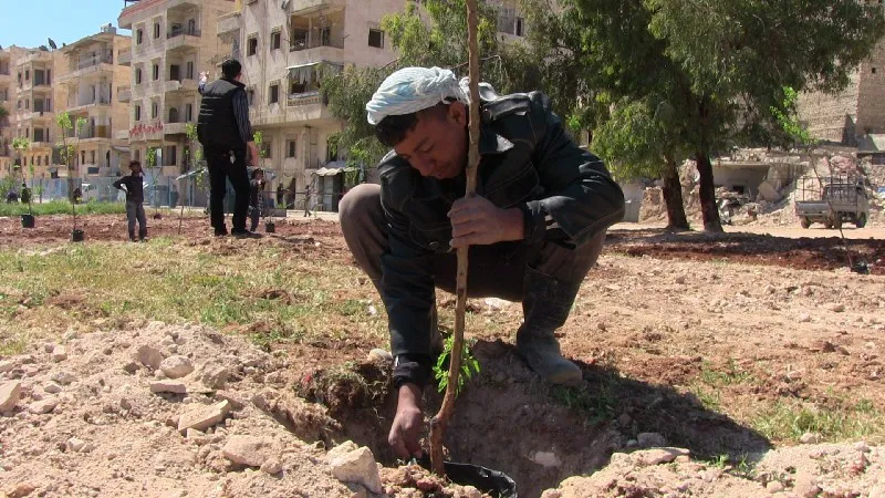 احتفالات وزراعة للأشجار بمناسبة ميلاد أوجلان