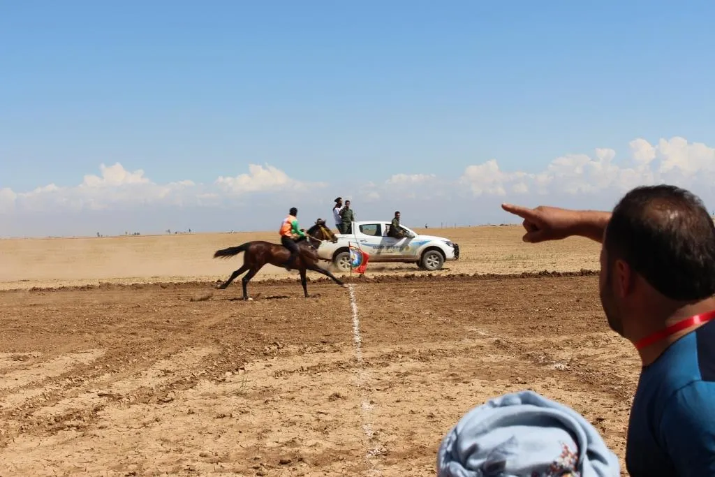 مهرجان للخيول العربية الأصيلة في ناحية تل حميس