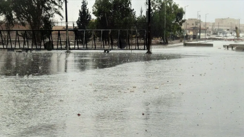 أمطار غزيرة تثلج قلوب المزارعين في الطبقة