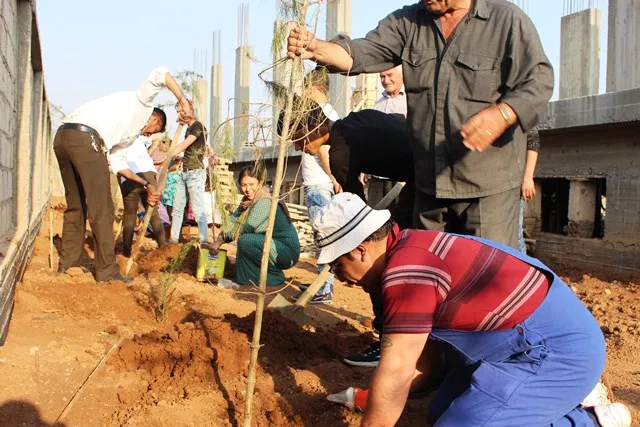إيزيديو ناحية تربه سبيه يزرعون الأشجار في بيتهم