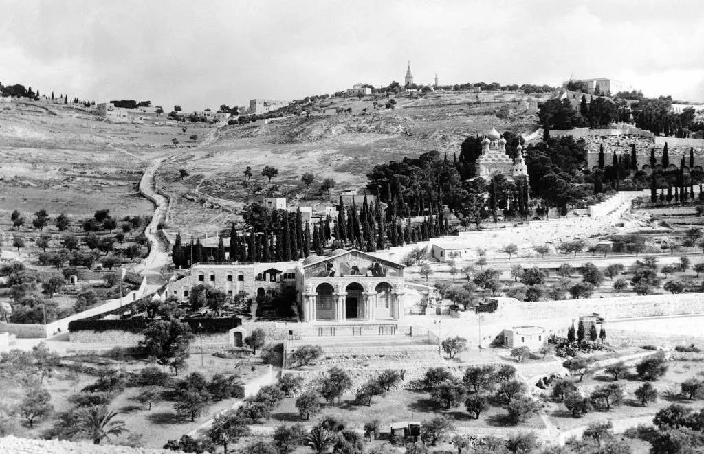 النكبة الفلسطينية والمواقف العربية والإسلامية من القضية – 2