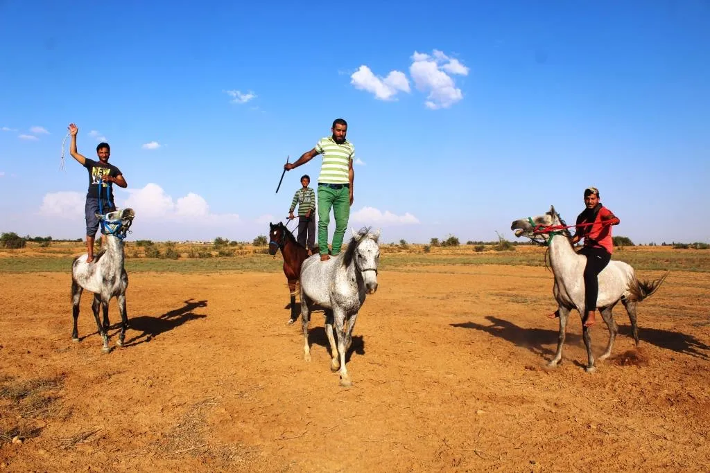 تنظيم فعالية للفروسية في ركوب الخيل في ريف الرقة