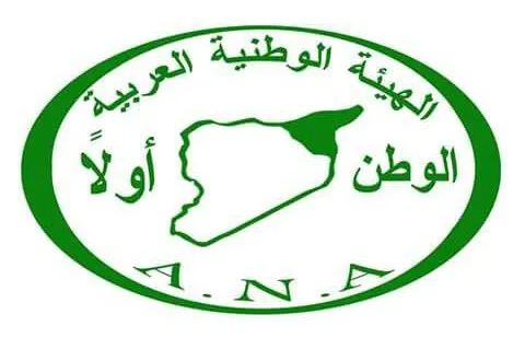الهيئة الوطنية العربية: الطورانية التركية تسعى لتحقيق أحلامها المريضة وإعادة السلطنة العثمانية