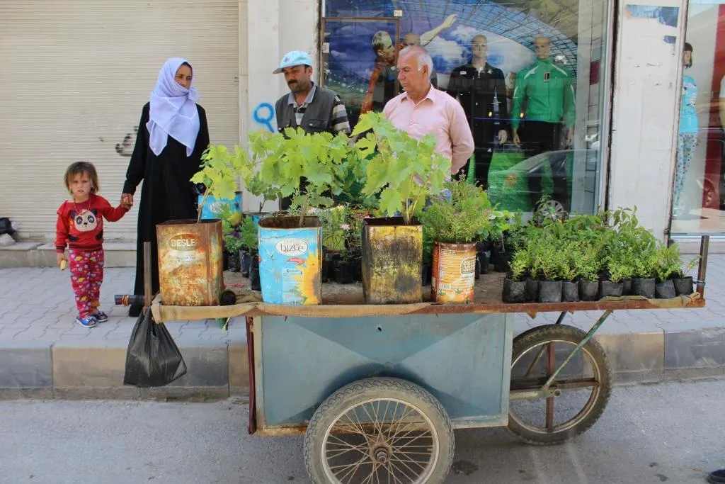 بائع الزهور عصام من أنصار حماية الطبيعة