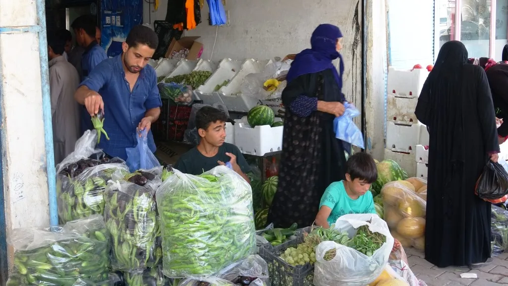انخفاض أسعار الخضروات المحلية يزيد إقبال الأهالي على الشراء