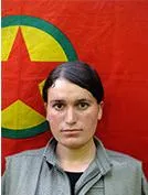 HPG تكشف عن سجل 7 مقاتلي كريلا