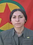 HPG تكشف عن سجل 7 مقاتلي كريلا