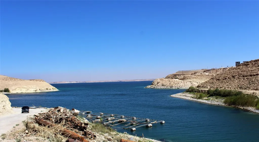 تجهيز مشروع "مزارع الأسماك" في الطبقة