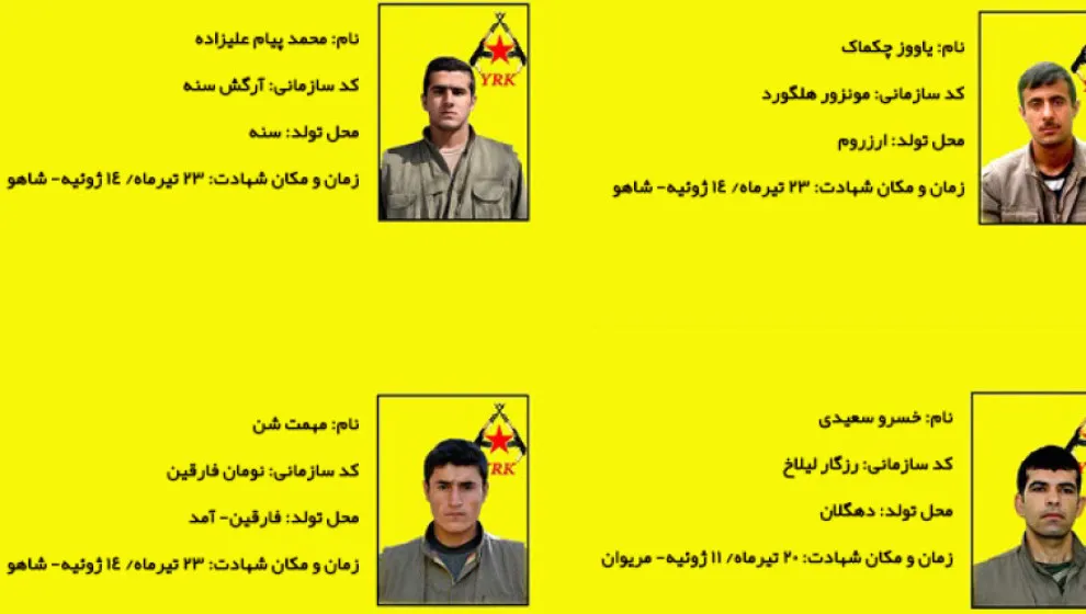  YRKتكشف عن سجل 4 من مقاتليها