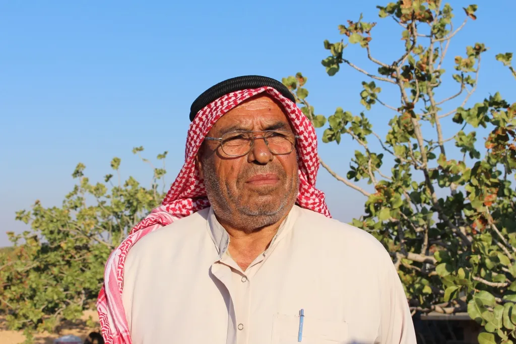 بعد كوباني.. مزارعو منبج يجنون محصول الفستق