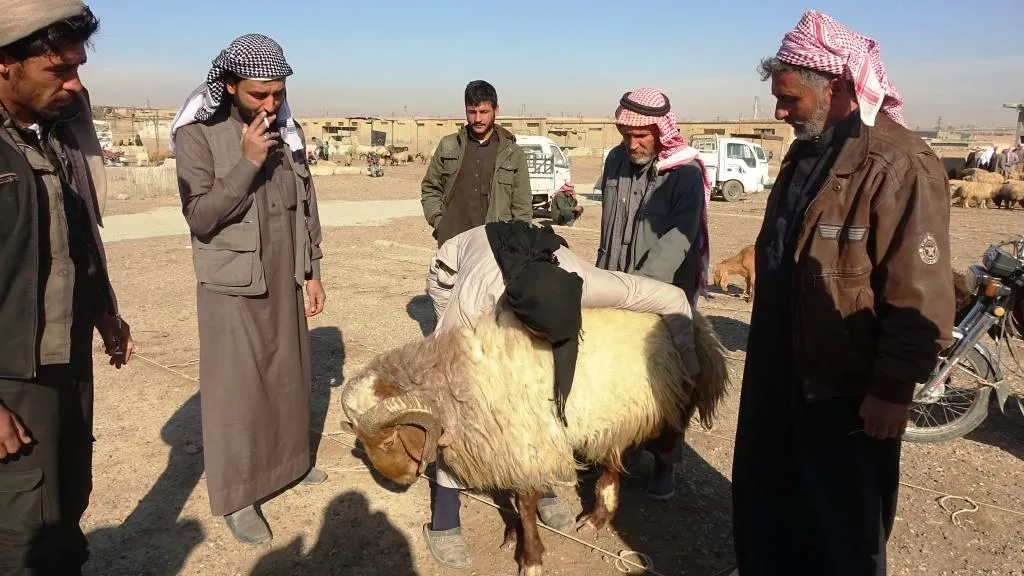 أهالي المناطق المحررة يستعدون لاستقبال العيد