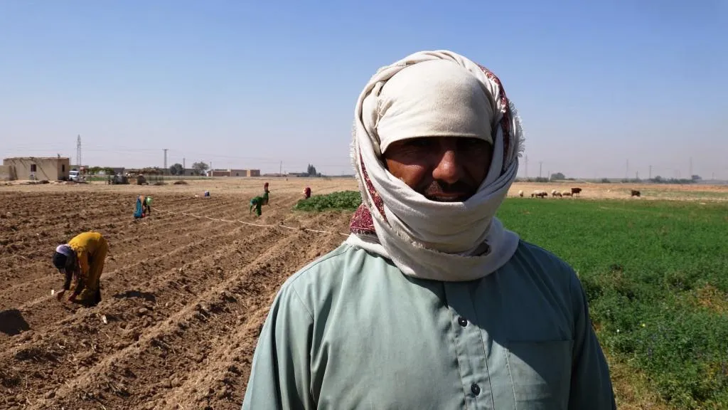 المواسم الصيفية في الرقة تعويض لخسائر المزارعين عن موسم القمح