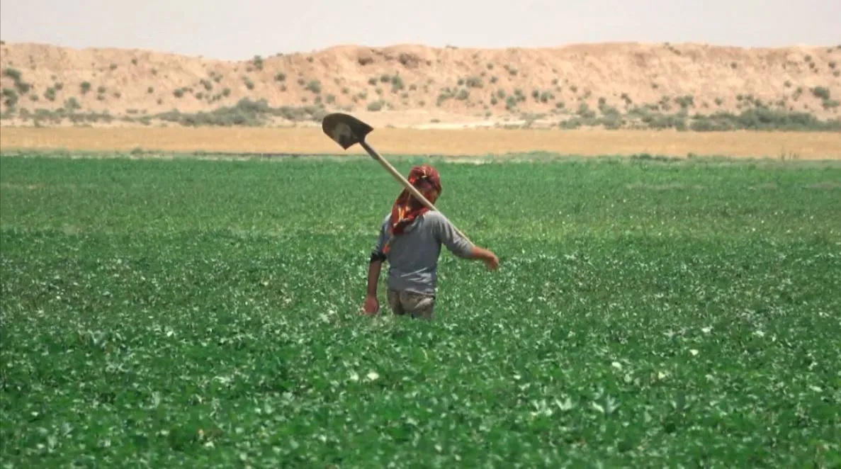 لجنة الزراعة في عين عيسى: النهوض بالواقع الزراعي من أولويات عملنا