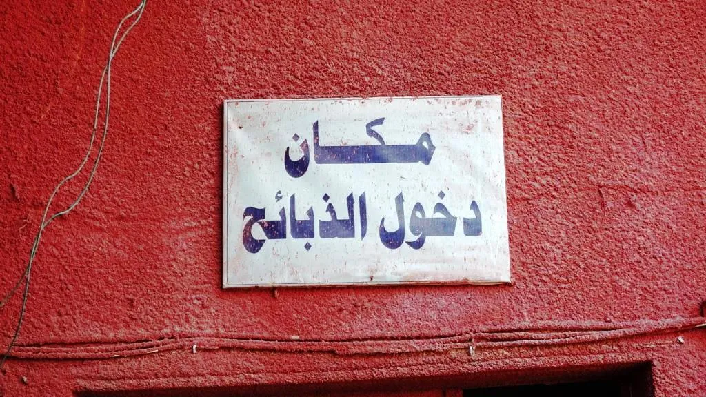 بشرى لأهالي الرقة خلال أيام العيد