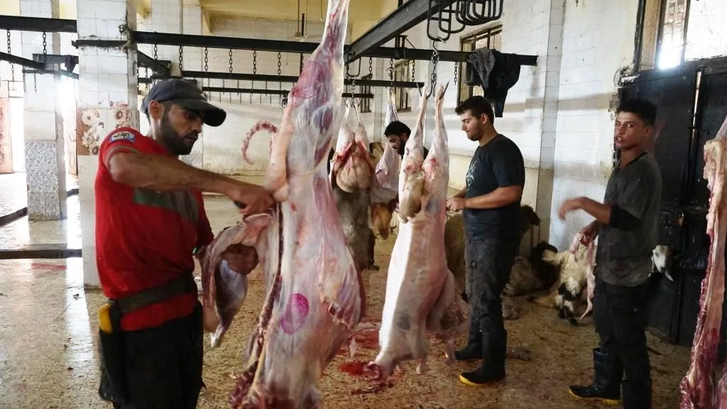 بشرى لأهالي الرقة خلال أيام العيد