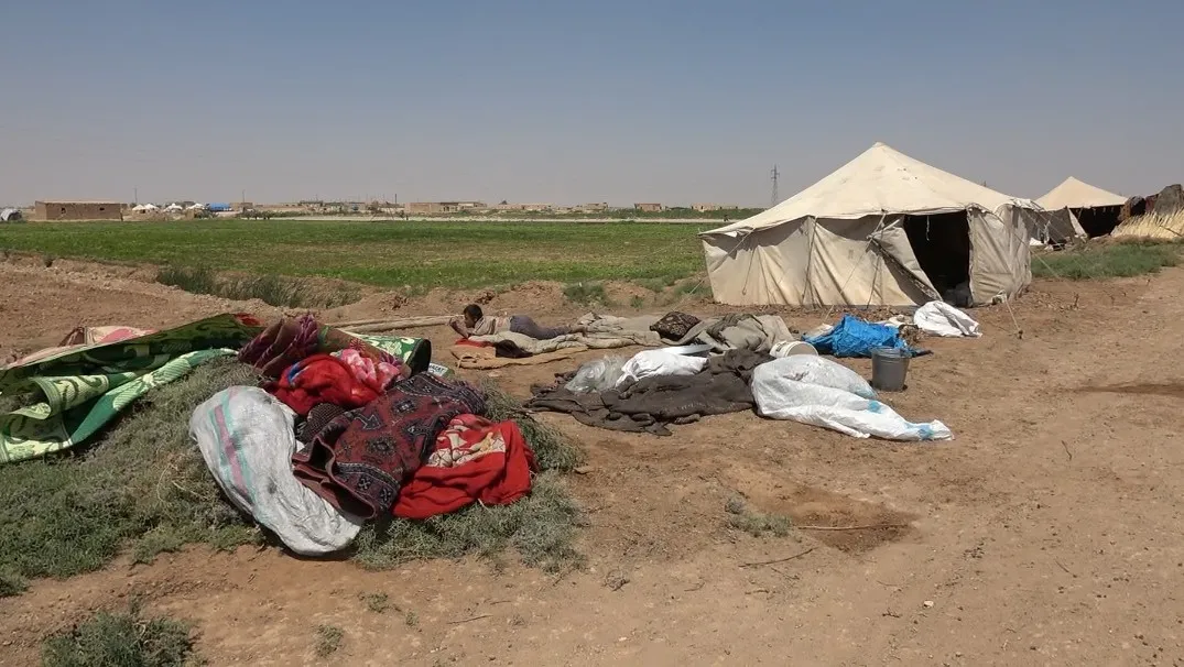 نازحو دير الزور: السرقة أو الموت جوعاً لمن يفكر بالعودة لبيته