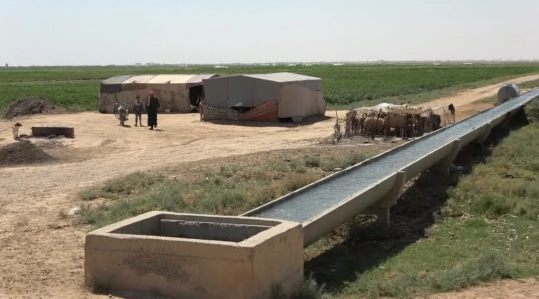 نازحو دير الزور: السرقة أو الموت جوعاً لمن يفكر بالعودة لبيته