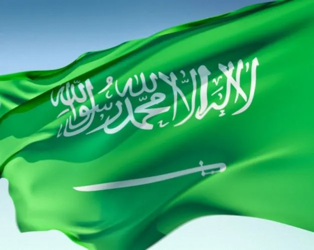 السعودية تقدم 100 مليون دولار لجهود الاستقرار في شمال شرق سوريا