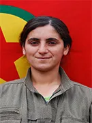 HPG تكشف سجل 8 مقاتلين استشهدوا في جولميرك