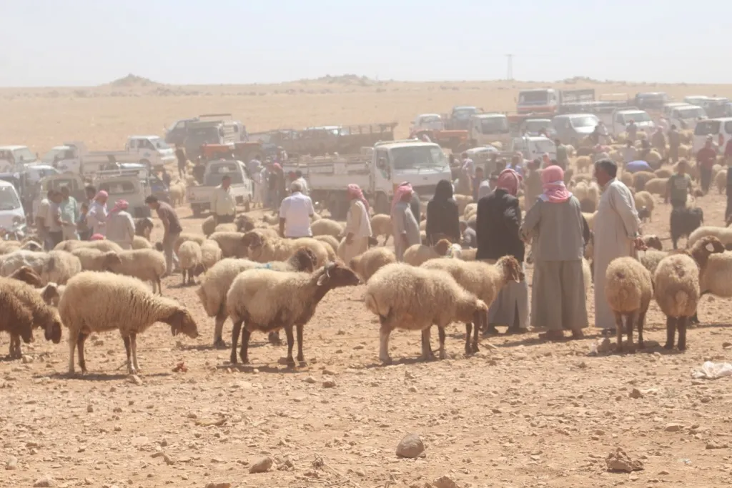 جوانب من استعدادات الأهالي لاستقبال العيد في الفرات