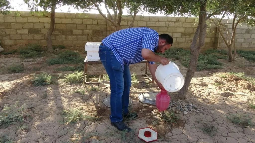 تطوير الأرياف عبر مشاريع تنموية ذاتية صغيرة