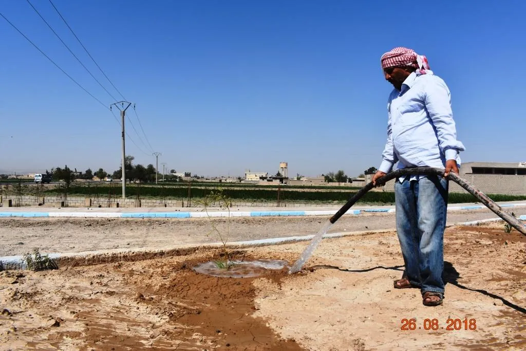 غرس الأشجار وتلوين الأرصفة في بلدة الصعوة
