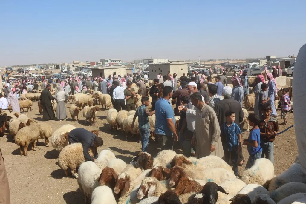 أسواق الشدادي ومنبج تشهد إقبالاً قبل يوم من العيد
