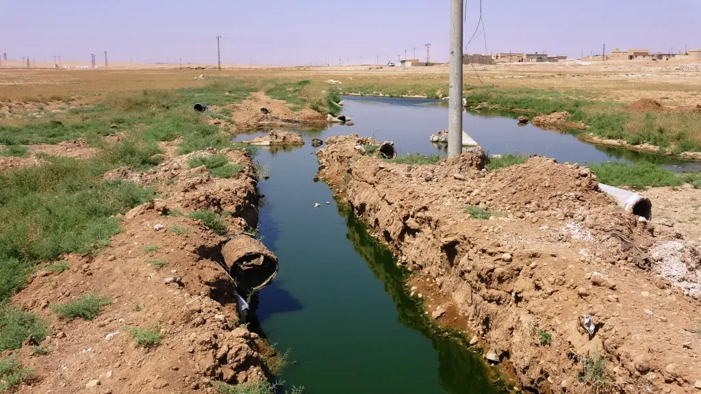 مشكلة مستنقع الصرف الصحي بعين عيسى في طريقه للحل