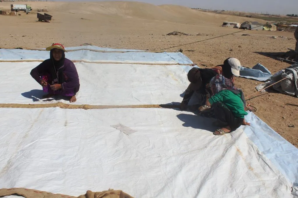 هل ثمة من يفكر بأمر هؤلاء النازحين