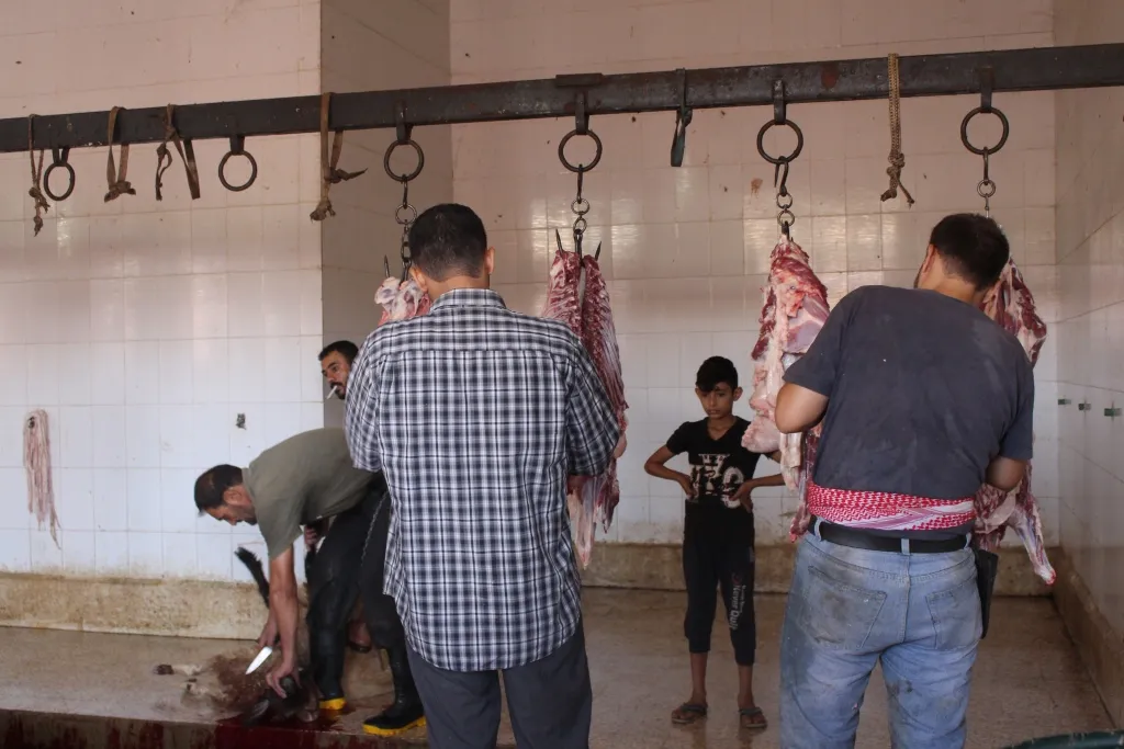 مسلخ منبج البلدي ضمان للسلامة الصحية وجودة اللحوم