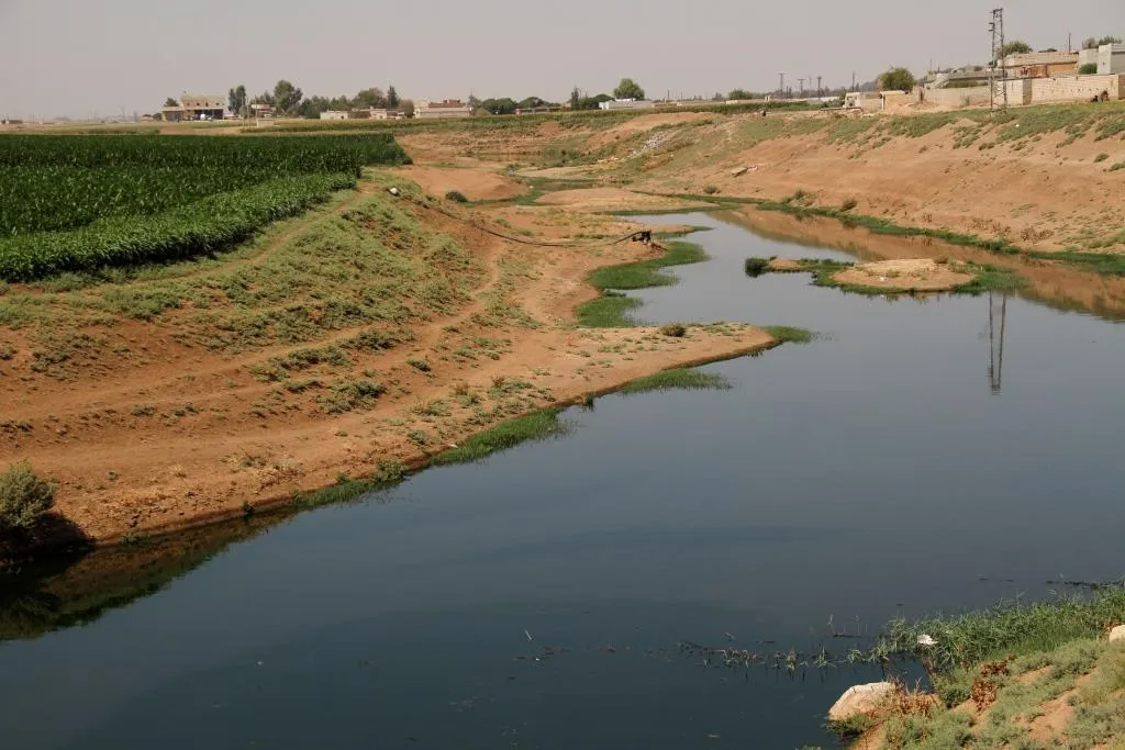 'سيتم محاسبة من يسقي الخضار بمياه الصرف الصحي'