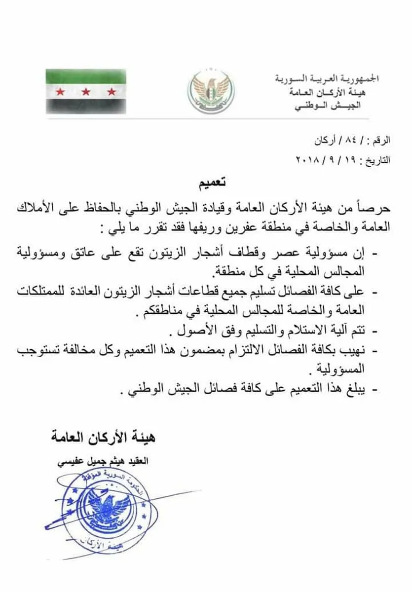 كروم الزيتون في عفرين وتعميم لنهب موسم هذا العام