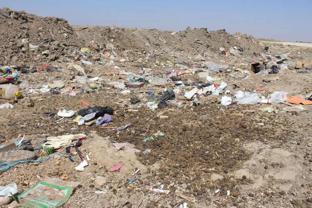 بلدية الشعب تحل مشكلة رائحة روث الحيوانات في كربطلي