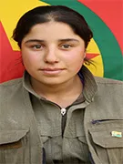 HPG تكشف سجل 5 من مقاتلي كريلا استشهدوا بشرناخ