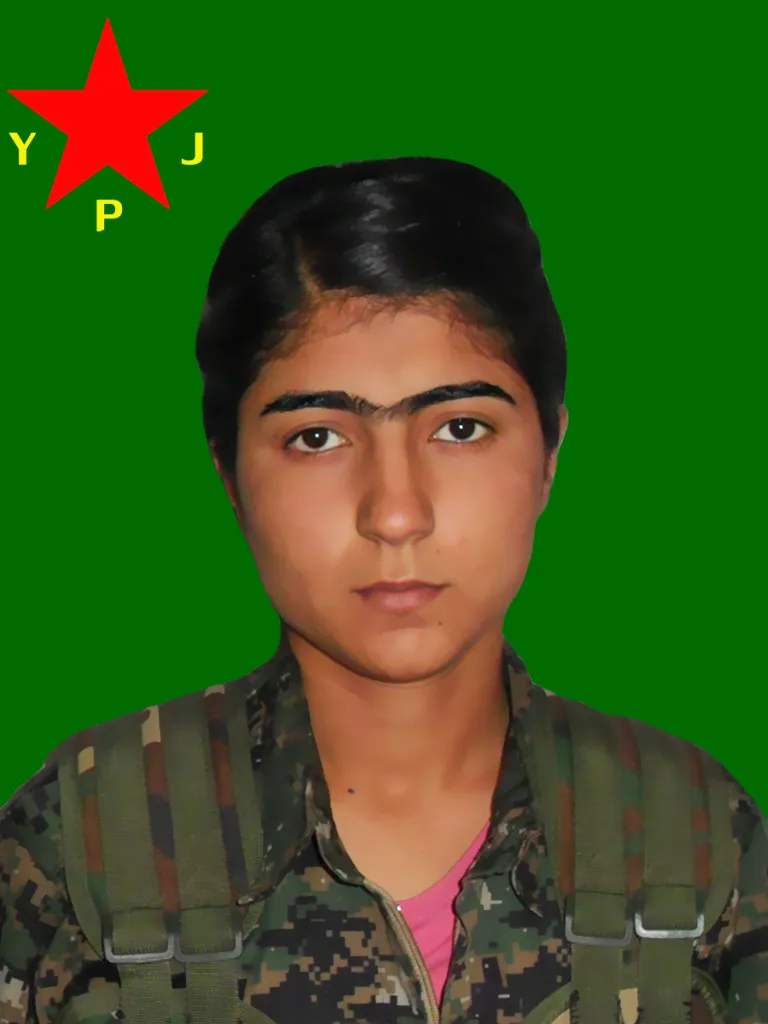 YPG تكشف سجل 8 مقاتلين ومقاتلات استشهدوا عام 2014