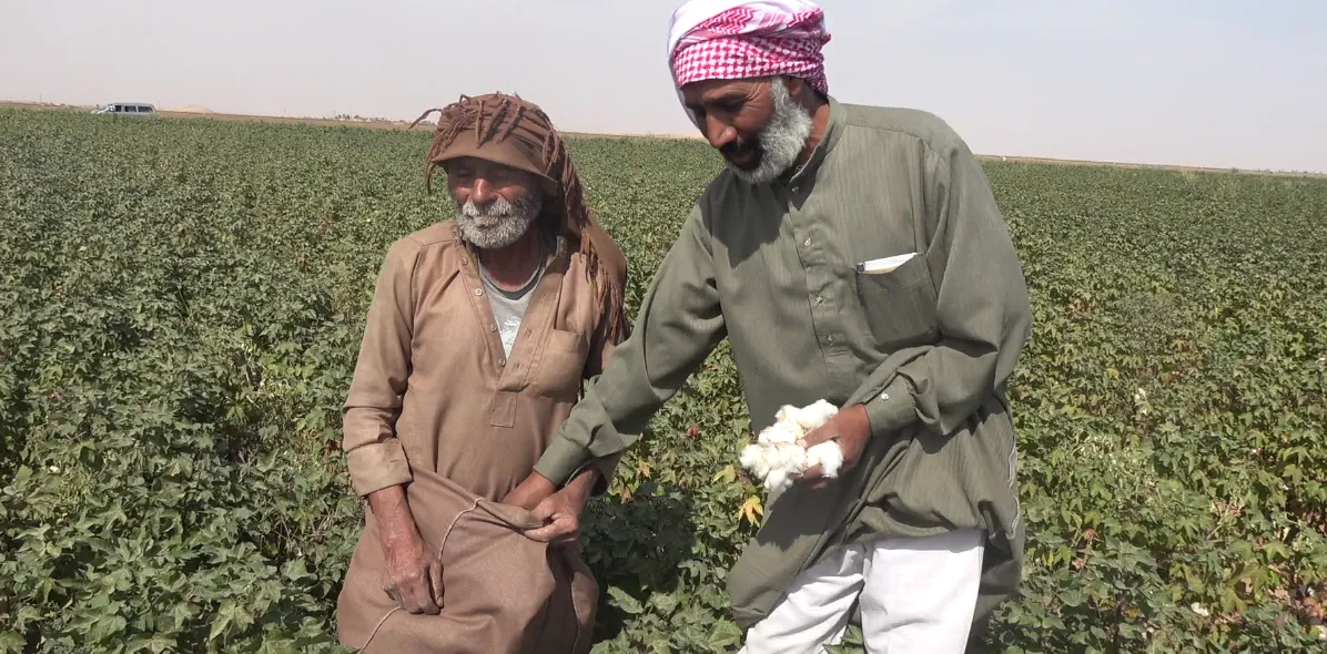 بعد خسارتهم...المزارعون بين سداد التكاليف وتجهيز موسم الشتاء