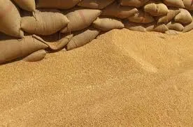 تعميم لحماية المزارعين من الخسائر