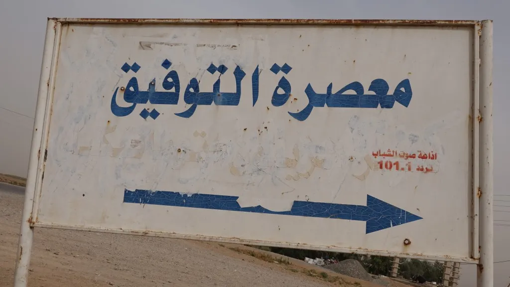 بدء قطاف الزيتون في الرقة
