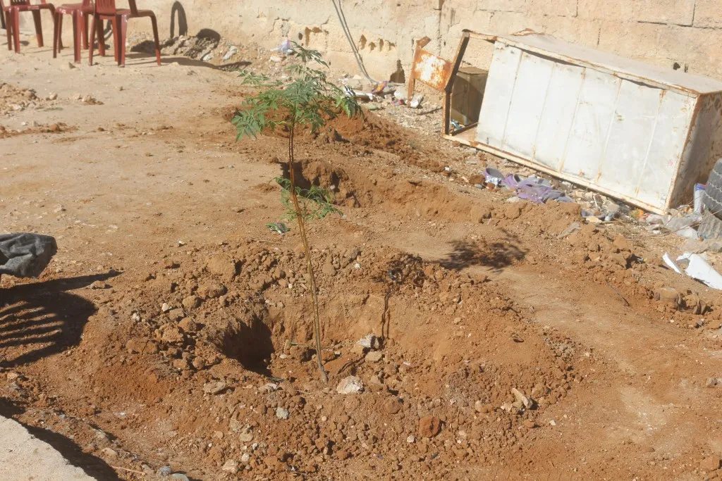 حملة تشجير للحفاظ على البيئة