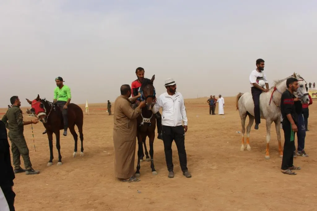 المهرجان الخامس للخيول العربية الأصيلة يحظى بمشاركة واسعة