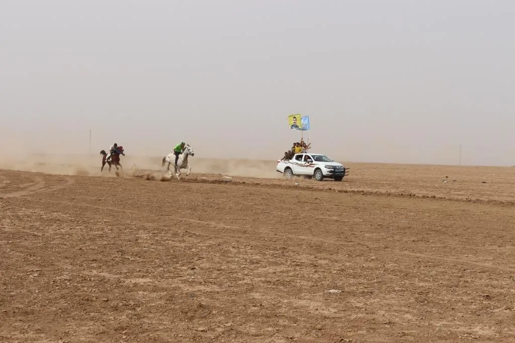 المهرجان الخامس للخيول العربية الأصيلة يحظى بمشاركة واسعة