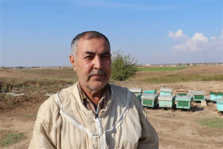 من 5 إلى 30 خلية...قصة أحد مربي النحل