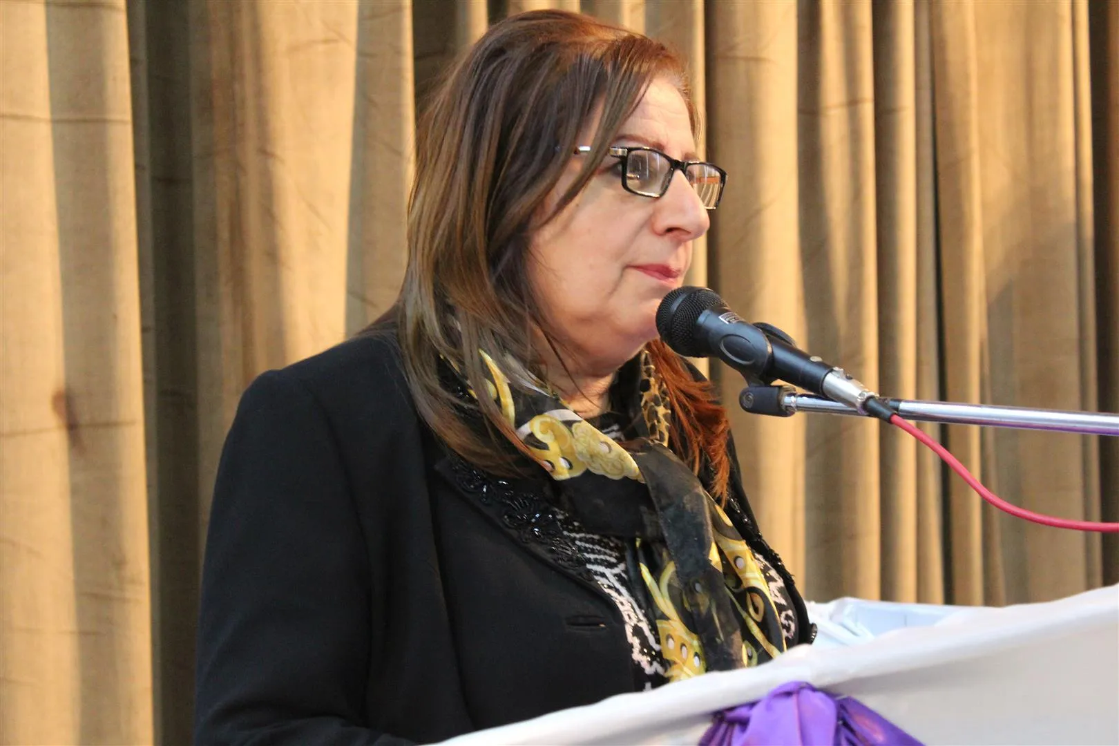 المرأة حققت إنجازات عظيمة من خلال التدريب والتوعية