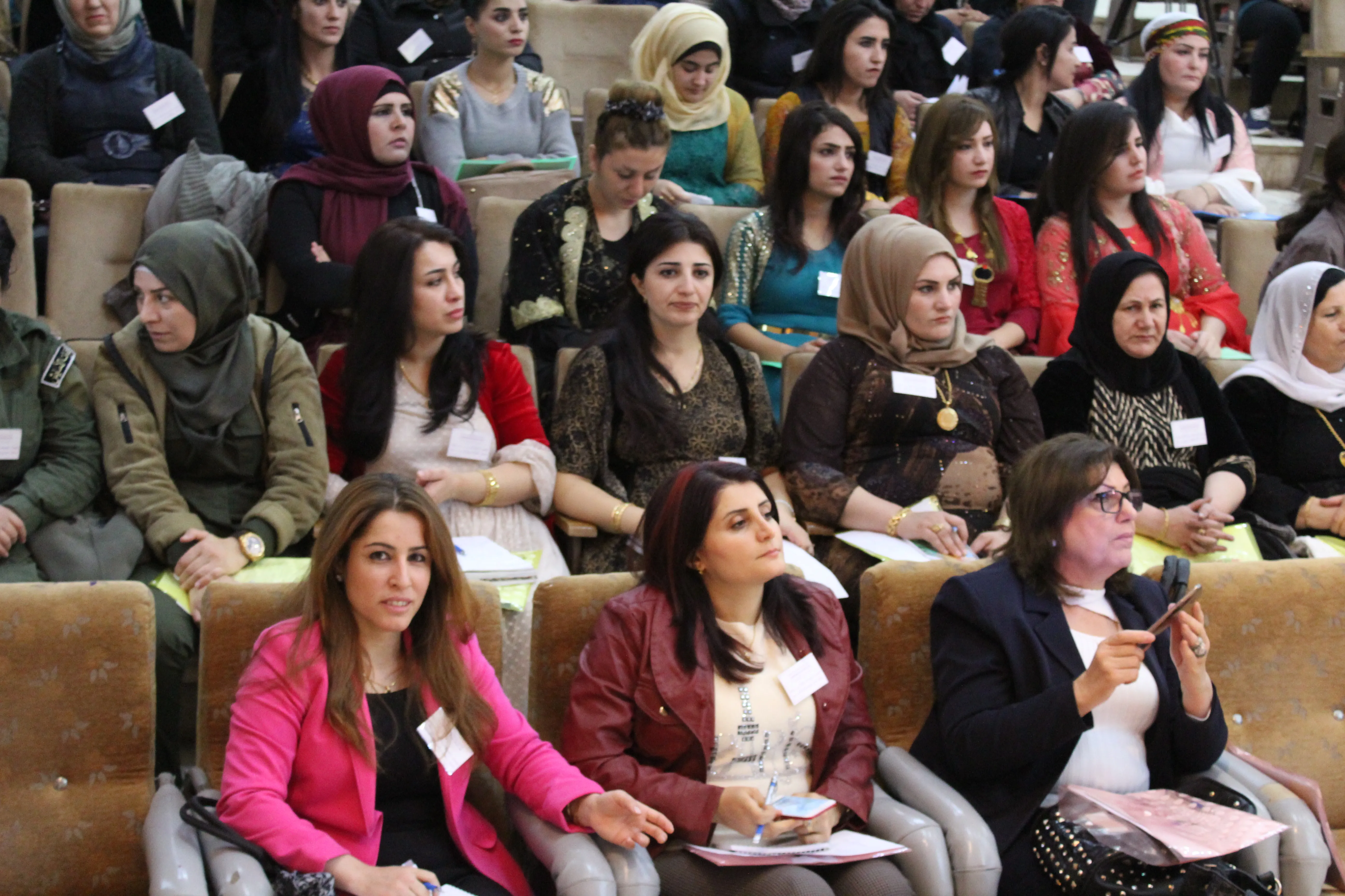 المرأة حققت إنجازات عظيمة من خلال التدريب والتوعية