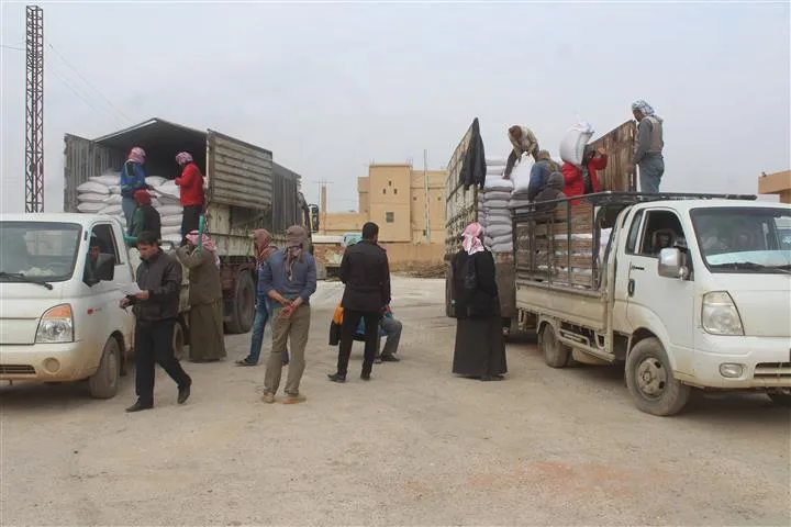 لجنة الزراعة في الشدادي توزع بذار القمح للمزارعين بسعر مناسب