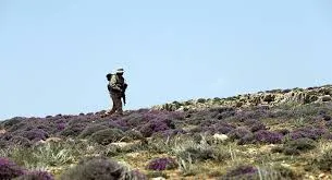 الجيش الإسرائيلي يطلق النار على الحدود اللبنانية